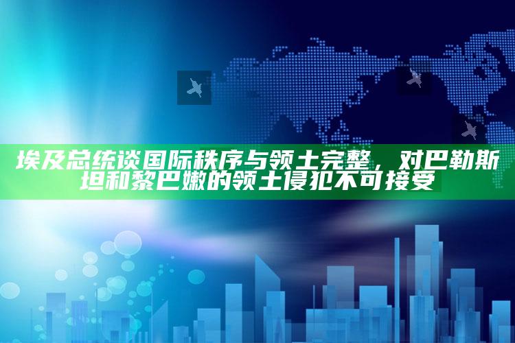 一点红免费资料论坛，埃及总统谈国际秩序与领土完整，对巴勒斯坦和黎巴嫩的领土侵犯不可接受