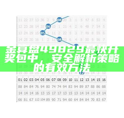 金算盘49829最快开奖包中，安全解析策略的有效方法