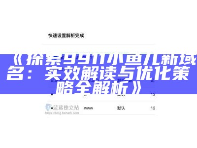 《探索9911小鱼儿新域名：实效解读与优化策略全解析》