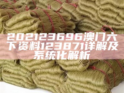 202123696澳门六下资料123871详解及系统化解析