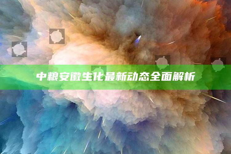 澳门最准一肖一码一码配套成龙w，中粮安徽生化最新动态全面解析