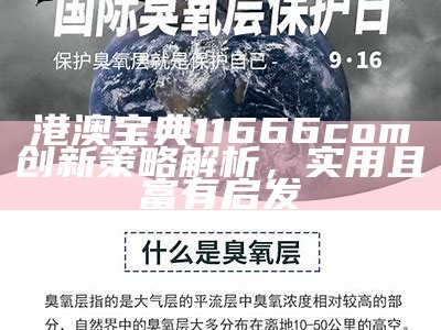 港澳宝典11666com创新策略解析，实用且富有启发