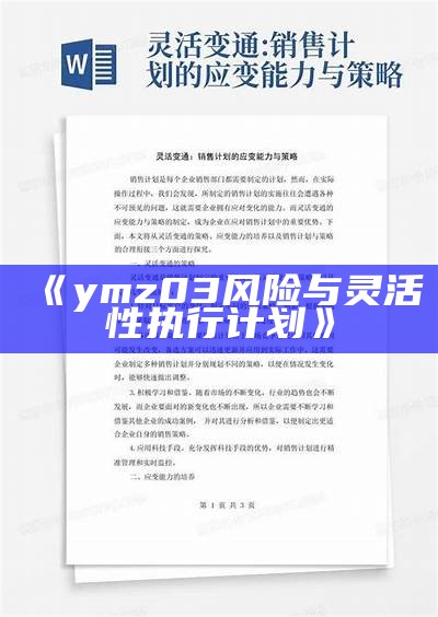 《ymz03风险与灵活性执行计划》