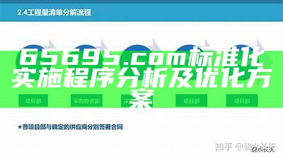 65695.com标准化实施程序分析及优化方案