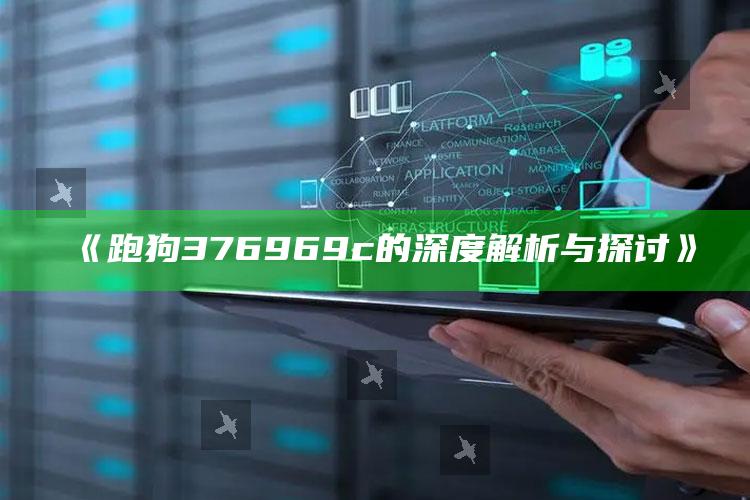 管家婆2024免费资料使用方法，《跑狗376969c的深度解析与探讨》