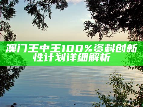 澳门王中王100%资料创新性计划详细解析