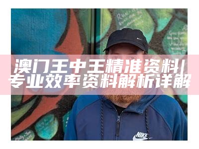 澳门王中王精准资料 | 专业效率资料解析详解