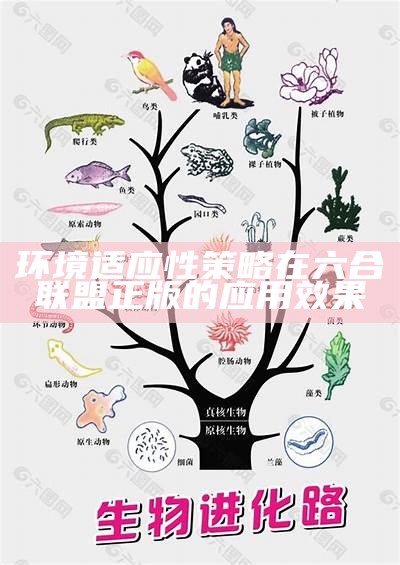 环境适应性策略在六合联盟正版的应用效果