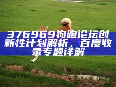 376969狗跑论坛创新性计划解析，百度收录专题详解