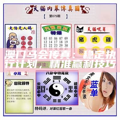 澳门马会传真：稳定执行计划，精准赢利技巧