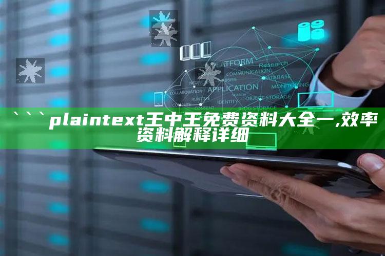 ```plaintext
王中王免费资料大全一,效率资料解释详细