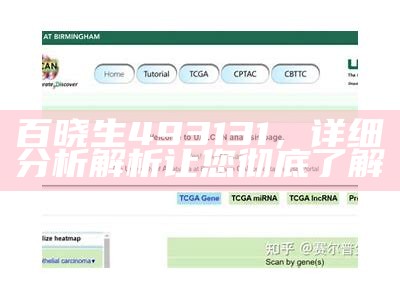 百晓生493131，详细分析解析让您彻底了解