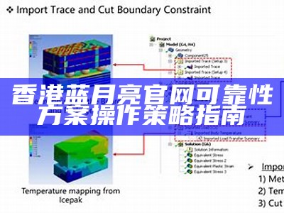 香港蓝月亮官网可靠性方案操作策略指南