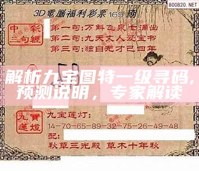 解析九宝图特一级寻码,预测说明，专家解读