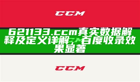 621133.ccm真实数据解释及定义详解，百度收录效果显著