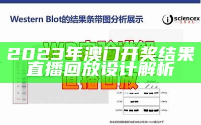 2023年澳门开奖结果直播回放设计解析