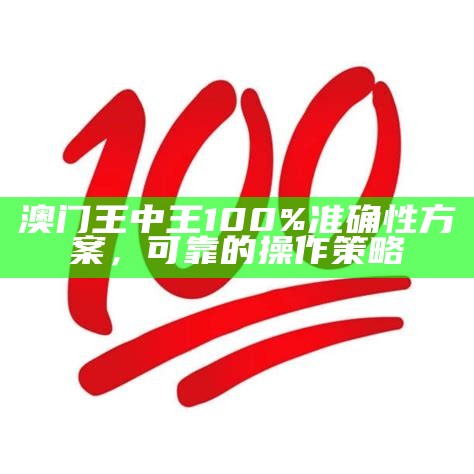 澳门一码一码100%准确执行方案解析