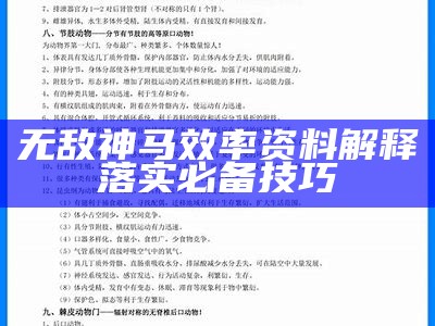 无敌神马效率资料解释落实必备技巧