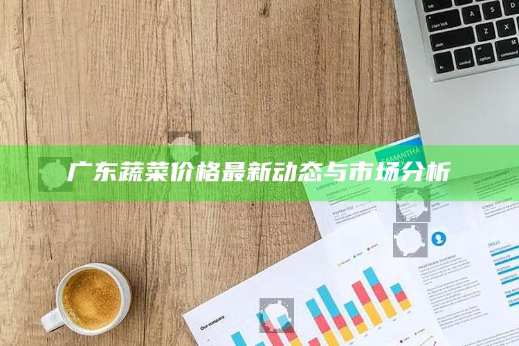 广东蔬菜价格最新动态与市场分析 ,广东蔬菜行情