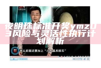 夜明珠标准开奖ymz03风险与灵活性执行计划解析