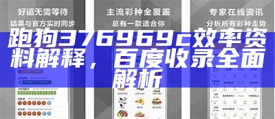 跑狗376969c效率资料解释，百度收录全面解析