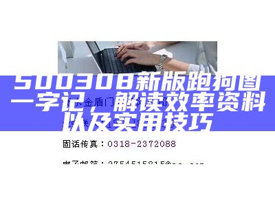 500308新版跑狗图一字记，解读效率资料以及实用技巧