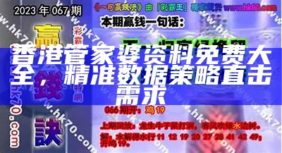 香港管家婆资料免费大全，精准数据策略直击需求