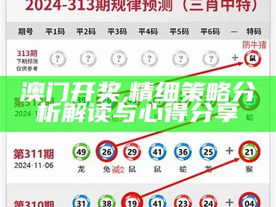 202874年澳门六下资料经济性执行方案详解