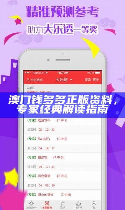 澳门钱多多正版资料，专家经典解读指南