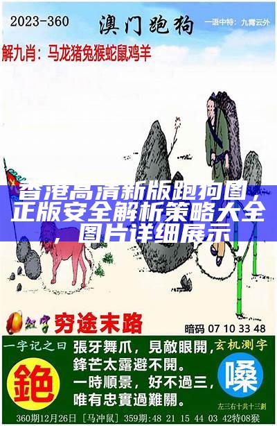 335526跑狗图WD，精细策略分析及解读，详细内容一网打尽