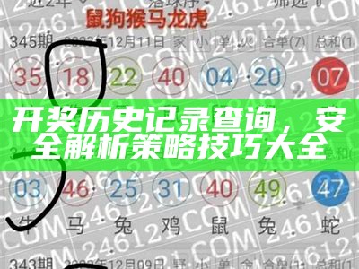 开奖历史记录查询，安全解析策略技巧大全