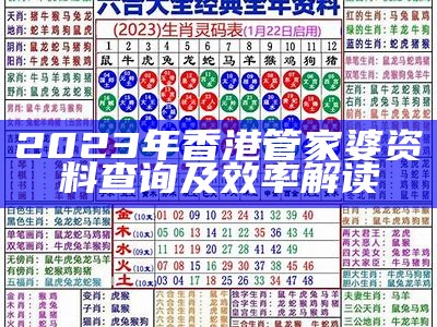 2023年香港管家婆资料查询及效率解读