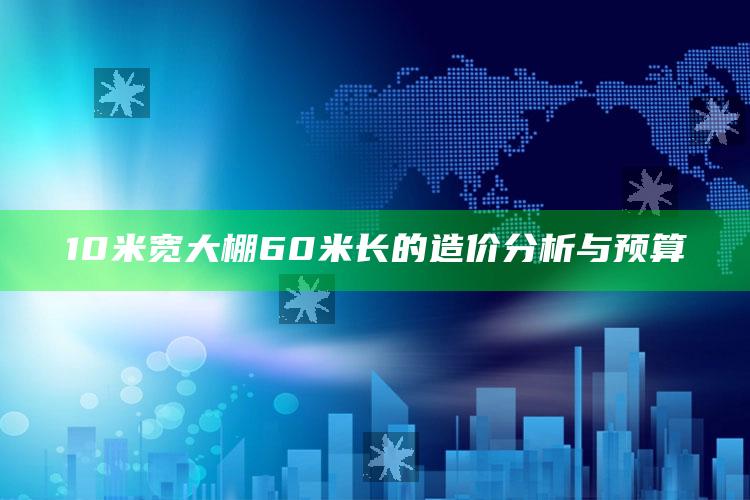 10米宽大棚60米长的造价分析与预算 ,10米宽大棚60米长的造价分析与预算怎么写