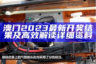 澳门2023最新开奖结果及高效解读详细资料