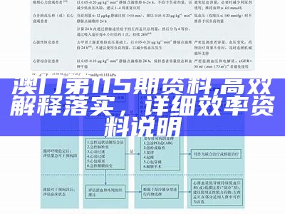 澳门传真正版实施评估，标准化操作方法