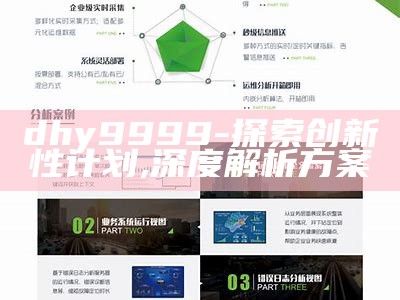 dhy9999-探索创新性计划, 深度解析方案