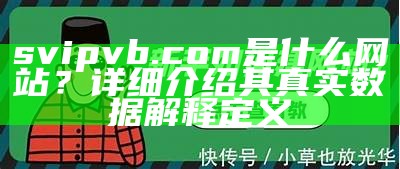 svipvb.com是什么网站？详细介绍其真实数据解释定义