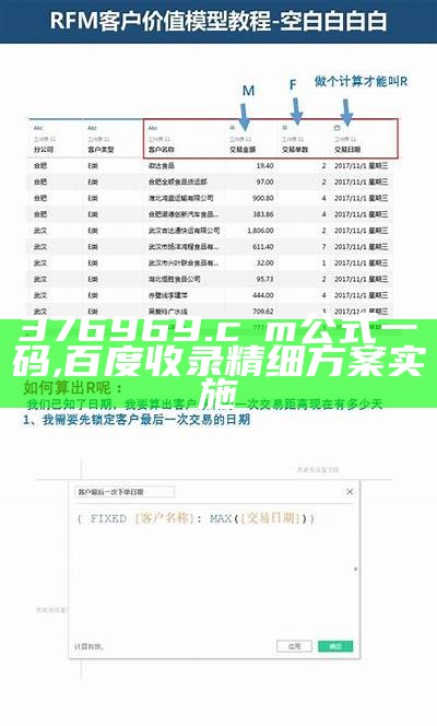 376969.cσm公式一码,百度收录精细方案实施