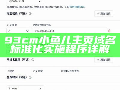 93cm小鱼儿主页域名标准化实施程序详解