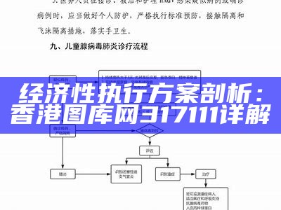 经济性执行方案剖析：香港图库网317111详解