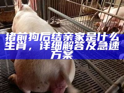 猪前狗后结亲家是什么生肖，详细解答及急速方案