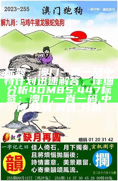 澳门2023年全年资料免费，详细解释，全面解答