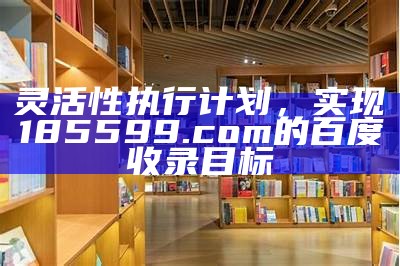 灵活性执行计划，实现185599.com的百度收录目标