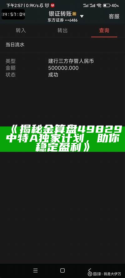 《揭秘金算盘49829中特A独家计划，助你稳定盈利》