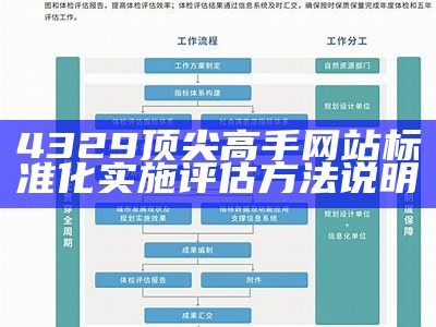 4329顶尖高手网站标准化实施评估方法说明