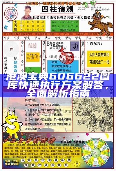 港澳宝典606622图库快速执行方案解答，全面解析指南