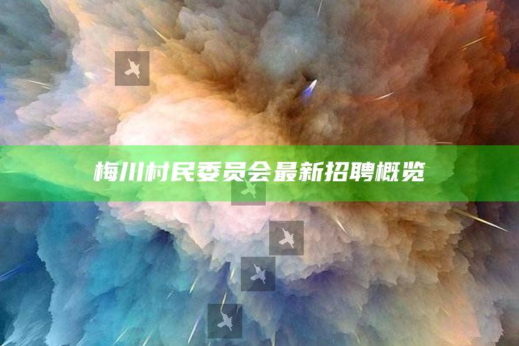 91免费版网站，梅川村民委员会最新招聘概览